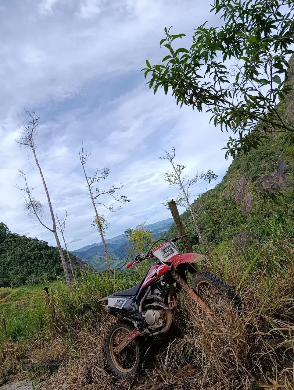 CRF 250f 
