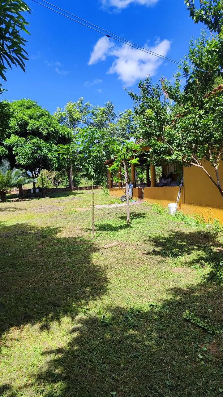 FAZENDA A  VENDA EM POSSE/GO  - Foto 5