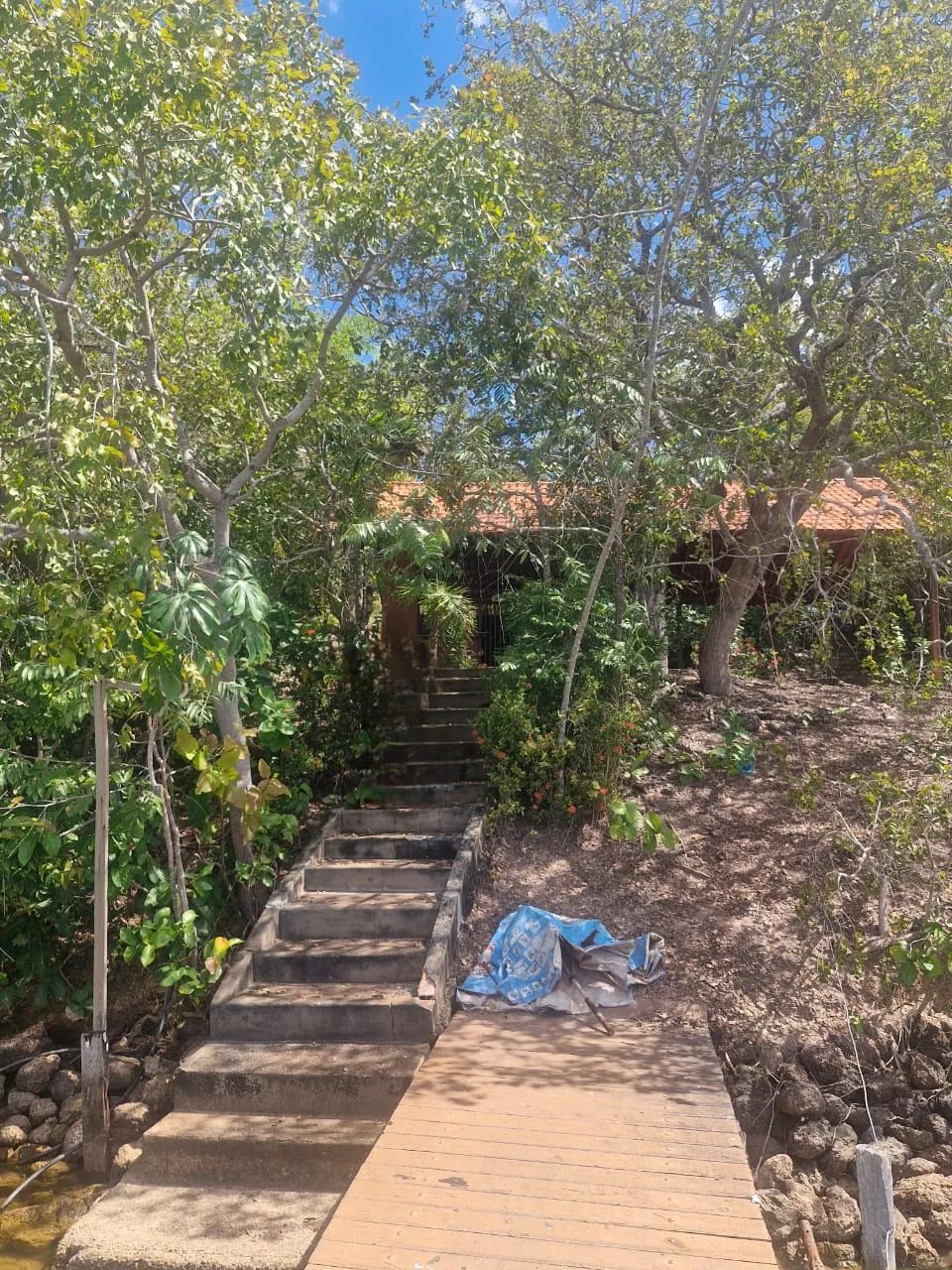 Chácara à Venda - Rio Santa Luzia | Palmas - TO - Foto 5