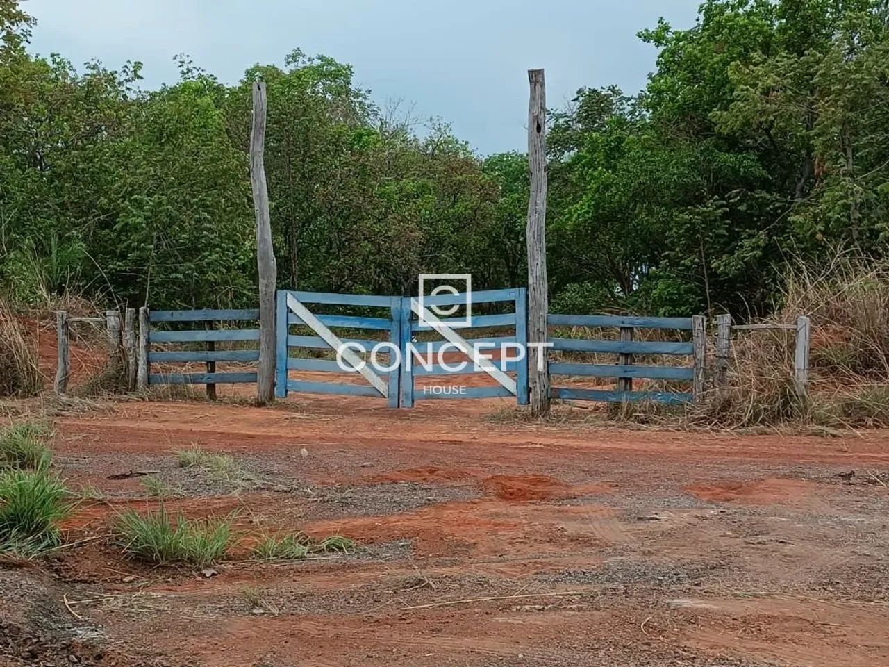 FAZENDA NA REGIÃO DE JANGADA / MT - Foto 2