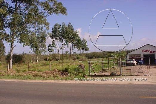 Terreno para alugar em Cavalhada, Porto alegre cod:2164 - Foto 3