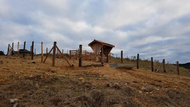 Sitio em arapoti - Foto 11