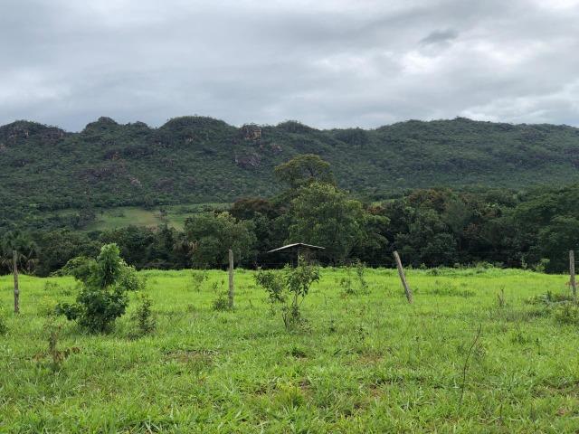 240 Alq. 160 km de Goiânia. (Gado e Soja) - Foto 2