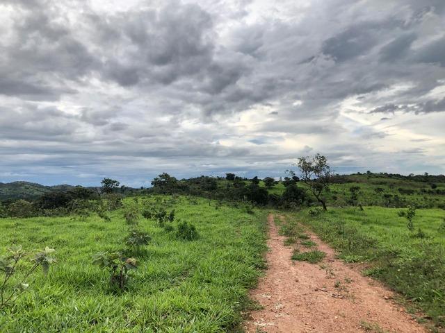 240 Alq. 160 km de Goiânia. (Gado e Soja) - Foto 16