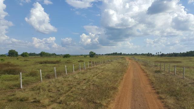 Fazenda de 4250 hectares no Cantá, na Serra da lua, ler descrição do anuncio - Foto 16
