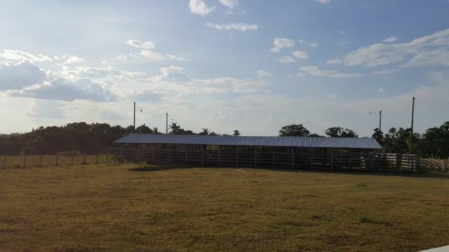 Fazenda de 4250 hectares no Cantá, na Serra da lua, ler descrição do anuncio - Foto 4