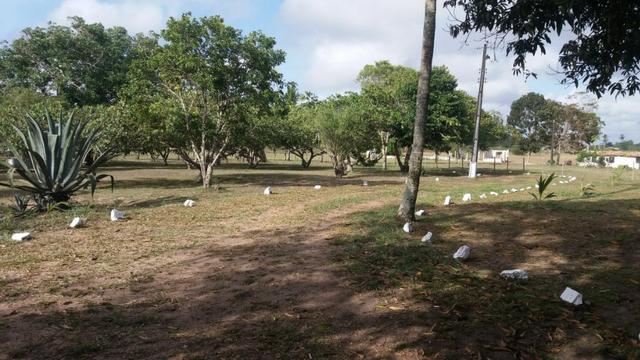 Fazenda para eventos ou temporada em São Gonçalo dos Campos Ba - Foto 18