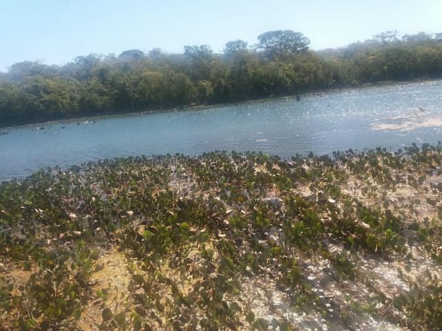 Fazenda município Paracatu - Foto 3