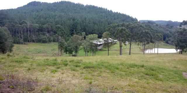 Chácara 7,5 Ha Vila Oliva - Foto 2