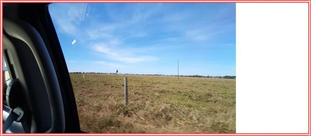 Fazenda Pecuária 1350 alqueires, fazendão - Foto 3