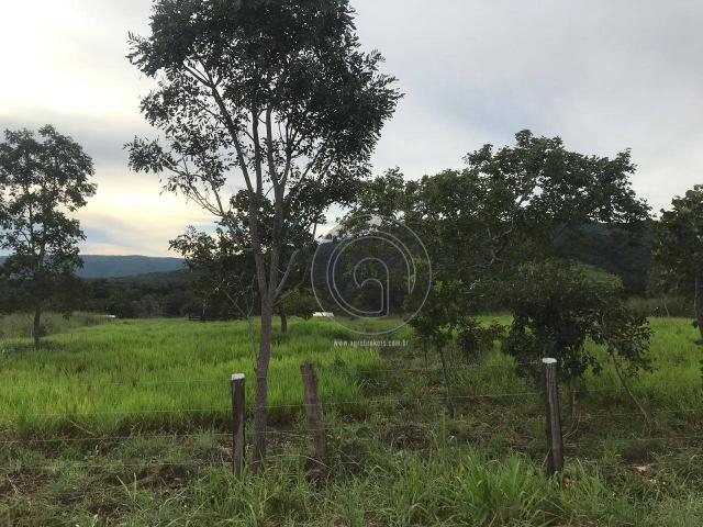 Sítio 11,8 ha na região distrito da guia - Foto 10
