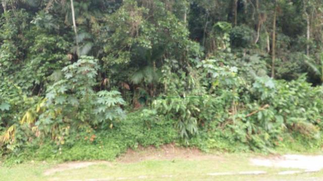 Terreno à venda, 2331 m² - Comary - Teresópolis/RJ - Foto 4
