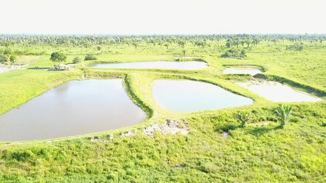 Oportunidade Única - Vendo Fazenda 1000 ha