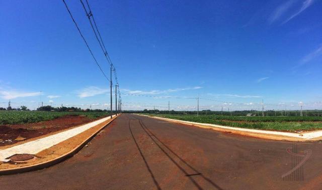 Terrenos no Parque da Lagoa