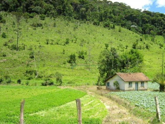 Fazenda rural à venda, Sebastiana, Teresópolis. - Foto 8