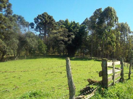 Lindo Sítio com fundos para o Rio da Várzea - Foto 18