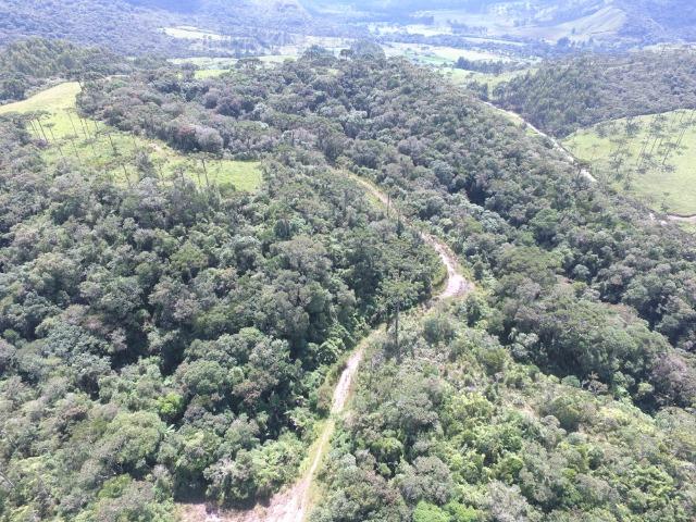 Sitio em Urubici /chácara em Urubici /área rural em Urubici - Foto 9
