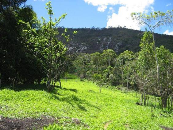 Fazenda rural à venda, Sebastiana, Teresópolis. - Foto 11