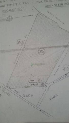 Terreno à venda, 240 m² - Barra do Imbuí - Teresópolis/RJ - Foto 3