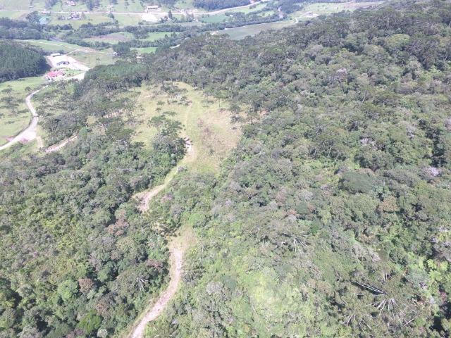 Sitio em Urubici /chácara em Urubici /área rural em Urubici - Foto 11