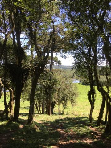 Lindo Sítio com fundos para o Rio da Várzea - Foto 11