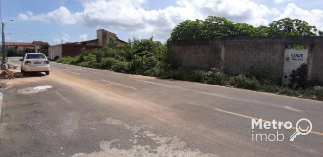 Loteamento/condomínio à venda em Chácara brasil, São luís cod:TE0006 - Foto 4