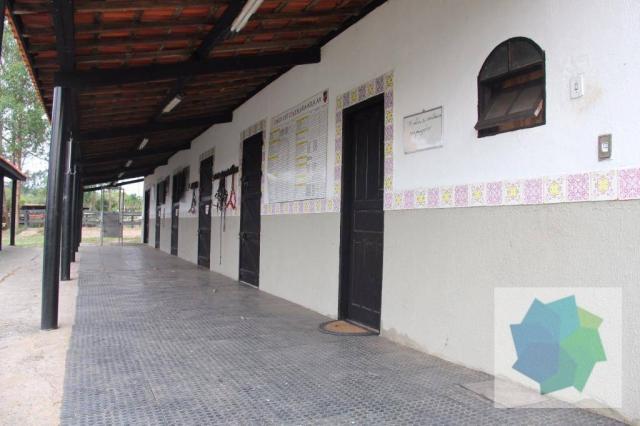 Haras à Venda em Sarapuí/SP - Foto 6