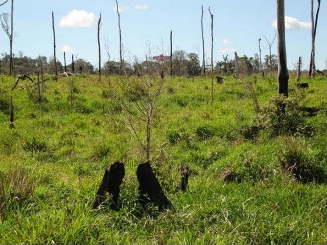 Fazenda região de Juara F0022 - Foto 2