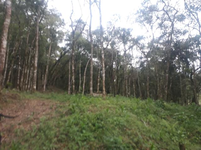 Vende se - Foto 5