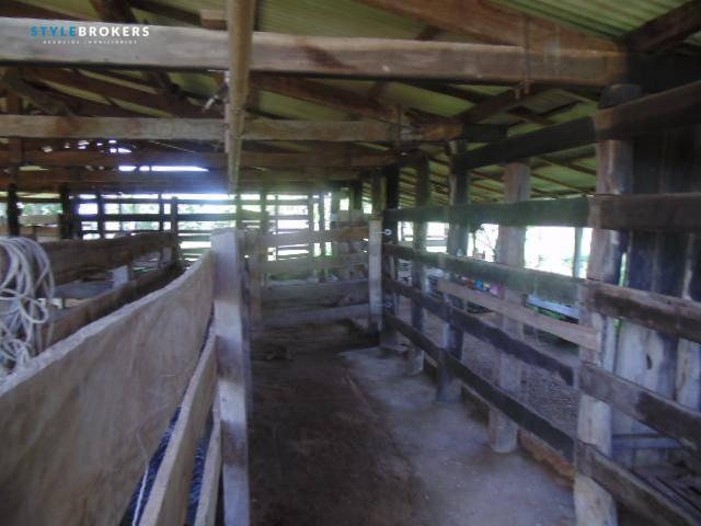 Fazenda à venda, 800000 m² por R$ 550.000,00 - Zona Rural - Nossa Senhora do Livramento/MT - Foto 14