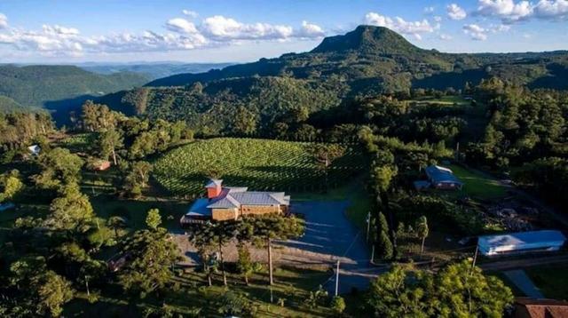 Vinícola em Gramado em produção