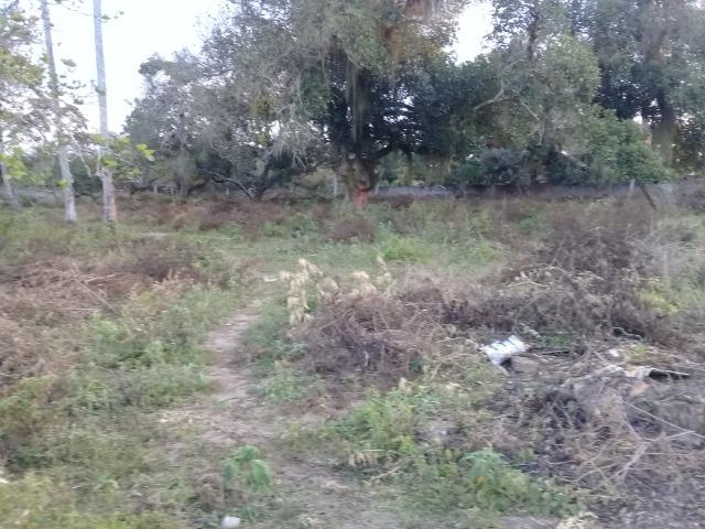 Excelente área de terra no povoado de boa hora, próximo ao parque viver tomba - Foto 10