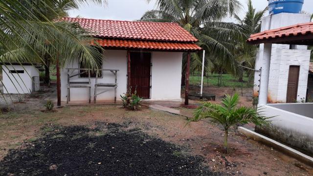 Fazenda em Conde, 45 tarefas - Foto 11