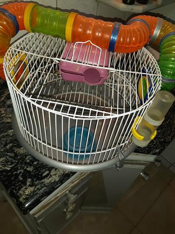 Gaiola hamster/rato - Foto 2