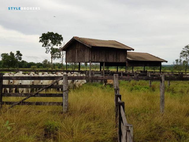 Fazenda em Porto Esperidião