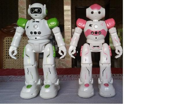 Brinquedos Diversos (R/C)