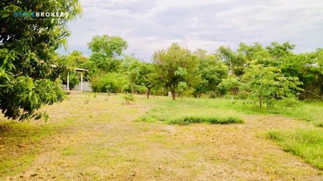 Chácara na Beira de Rio com 4 dormitórios à venda, 3600 m² por R$ 260.000 - Zona Rural - S - Foto 16