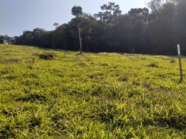 (LD) Terreno muito bem localizado! - Foto 4