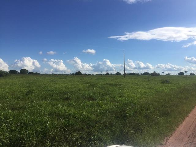 Fazenda 10593 hectares, sendo 7370 formado, terra de cultura - Foto 7