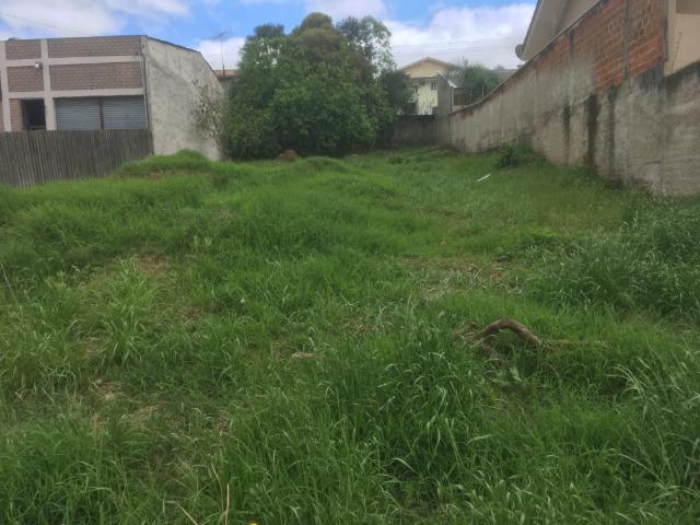 Terreno Campo Largo - Foto 3
