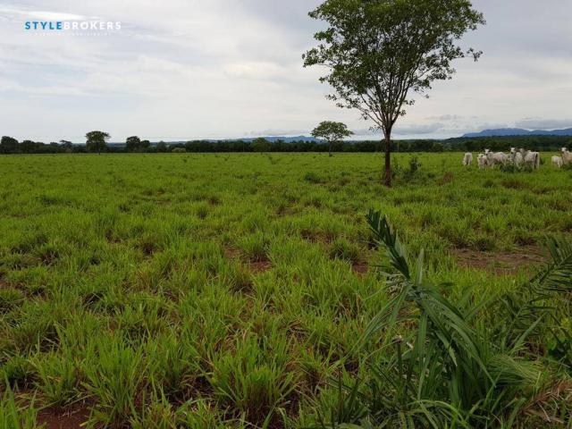 Fazenda em Porto Esperidião - Foto 19