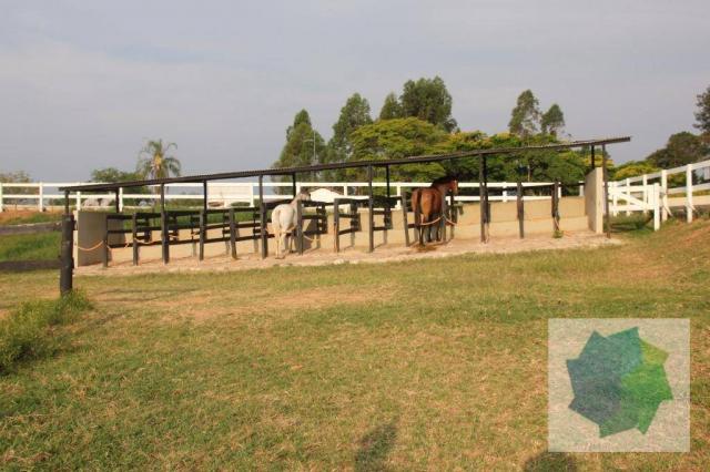 Haras à Venda em Sarapuí/SP - Foto 16