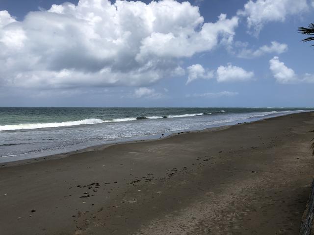 Terreno a BEIRA MAR em Japaratinga - Foto 4
