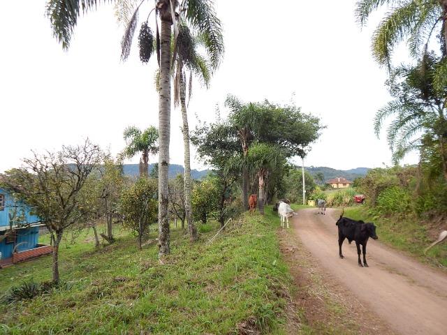Barbada! Lindo sítio em Gramado/RS - Foto 5