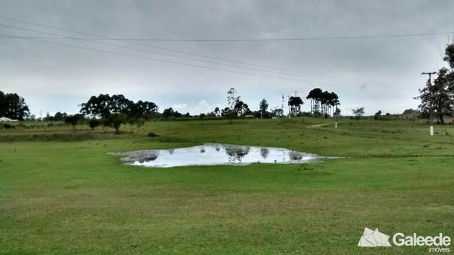 Chacara|Área com 60.000m² em São José dos Pinhais - Foto 5