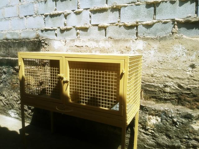 Viveiro cachorro ou passaros whatsapp - Foto 3