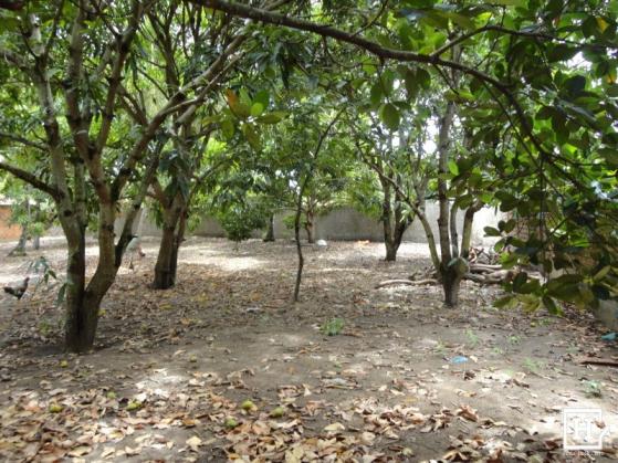Terreno à venda - mosqueiro (zona de expansão) - Foto 10