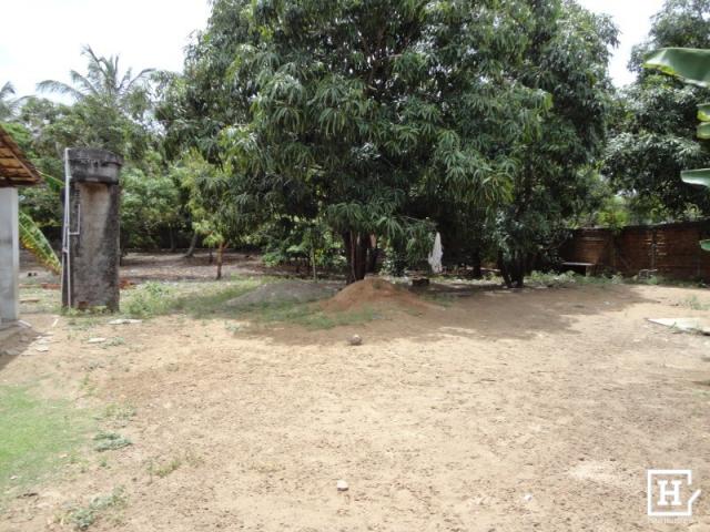 Terreno à venda - mosqueiro (zona de expansão) - Foto 7