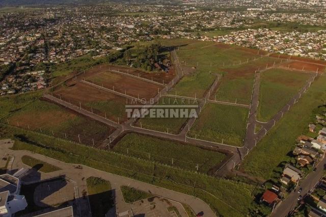 Terreno à venda em Pinheiro machado, Santa maria cod:10767 - Foto 3