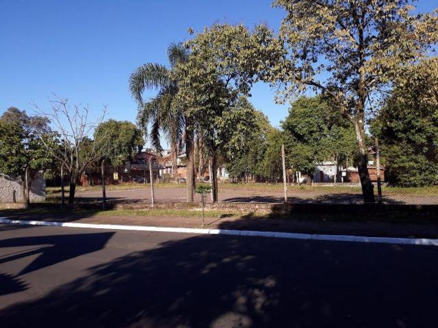 Terreno residencial à venda, canudos, novo hamburgo. - Foto 2